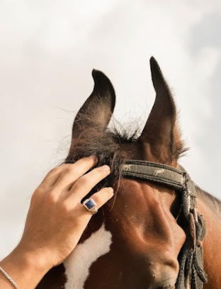 Lapis Lazuli Blue Ring